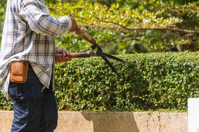 Garden Maintenance Walthamstow, E17