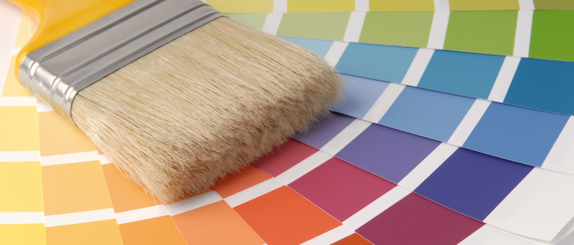 Painter E17